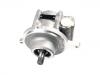 Hydraulikpumpe, Lenkung Power Steering Pump:21494175